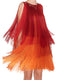 Colour Blocked Fringe Dress