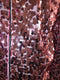 Sequinned Bomber Jacket