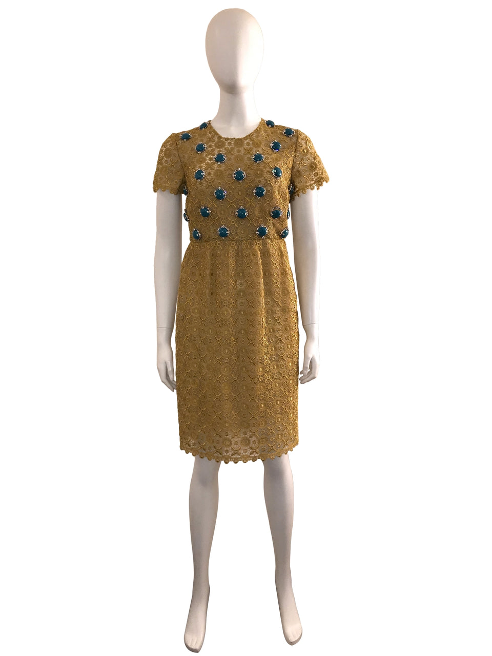Embellished Lace Short Sleeve Dress